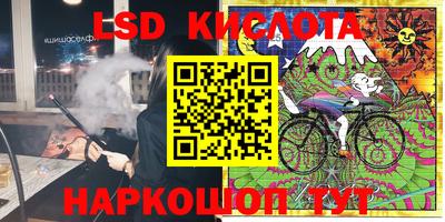 шишки Лесосибирск