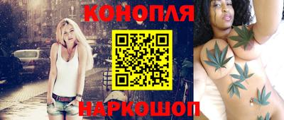 шишки Лесосибирск