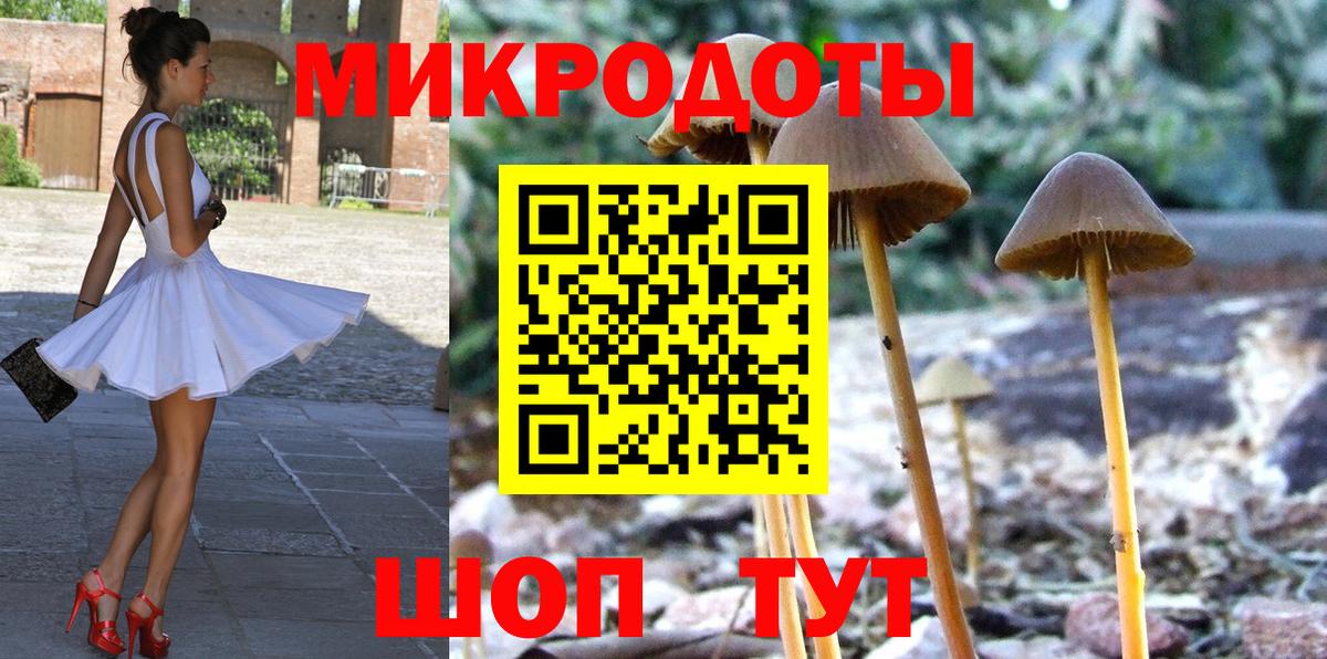 закладки  Галлюциногенные грибы мицелий  Вход с VPN  Елизово 