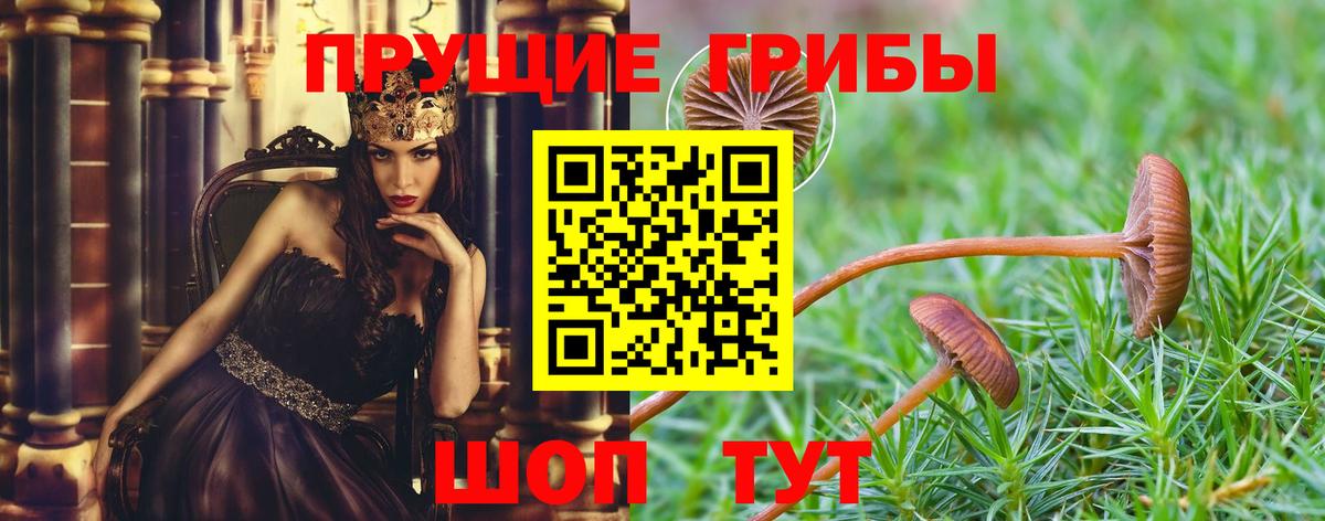 НБОМе  Елизово  Экстази  Гашиш  Вход с VPN  MDMA  Мефедрон кристаллы  APVP СК кристаллы  Каннабис  Cocaine  ГАШ 