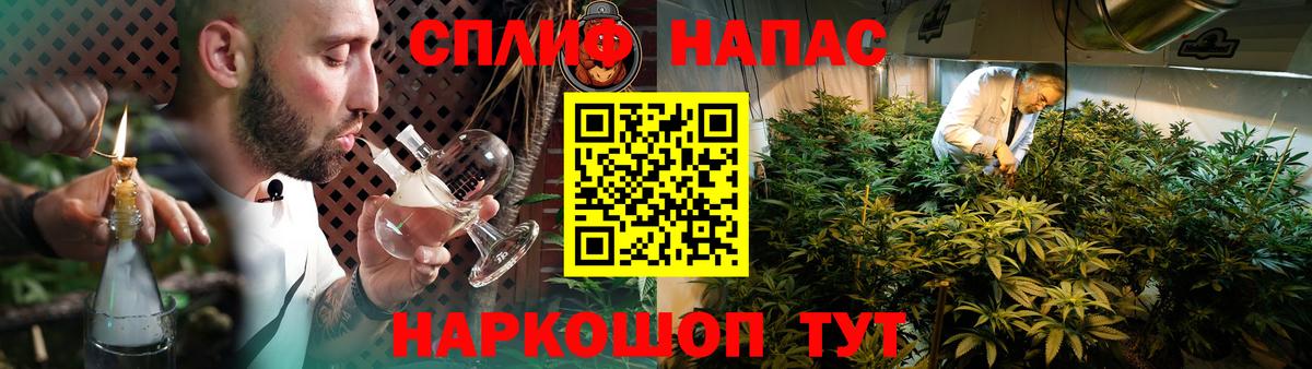Бошки марихуана план  Марихуана конопля  Елизово  Каннабис индика  Вход с VPN 